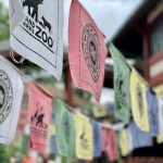 Wiring Woes: Red Flags That Scream 'Call an Electrician!'