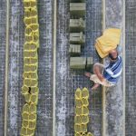 Continuous Learning: Staying Relevant in a Rapidly Changing Job Market