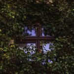 The Hidden Costs of Historic Homes: What to Know Before You Buy