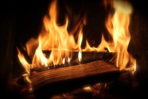 Mushroom Textiles: Fungi Fashion Takes Root