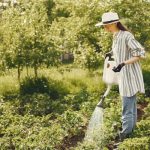 Green Mortgages: How Eco-Friendly Homes Can Save You Money