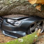 Drive-In Renaissance: The Unexpected Return of Outdoor Cinema