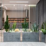 Tiny House Communities: The Future of Sustainable Living?