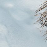 Ice Dams 101: Preventing Winter's Silent Roof Destroyer